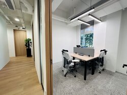 31 HOLLAND CLOSE (D10), Factory #474941851